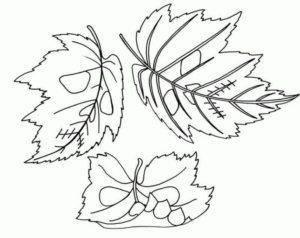 Disegno di foglia da stampare e colorare 36