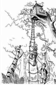 Disegno di casa sull’albero da stampare e colorare 7