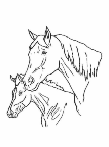 Disegno di cavallo da stampare e colorare 242