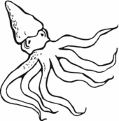 Disegni di Piovre da colorare