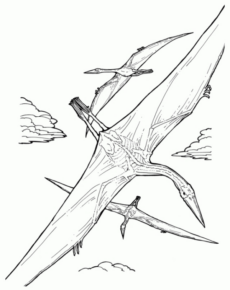 Disegno di Pterodattilo da stampare e colorare 5