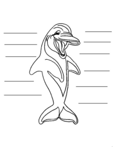 Disegno di delfino da stampare e colorare 50