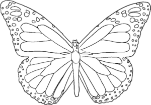 Disegno di farfalla da stampare e colorare 124