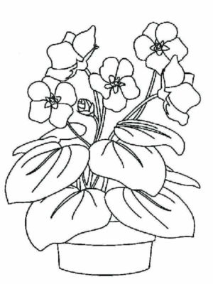 Disegno di fiore da stampare e colorare 24