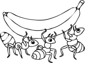 Disegno di formica da stampare e colorare 44