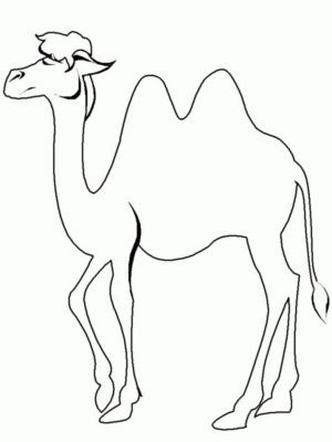Disegno di cammello da stampare e colorare 8