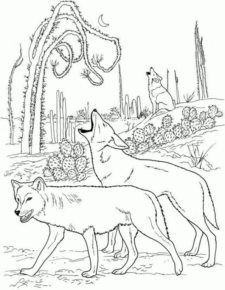 Disegno di lupo da stampare e colorare 73