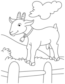 Disegno di capra da stampare e colorare 7
