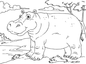Disegno di ippopotamo da stampare e colorare 30