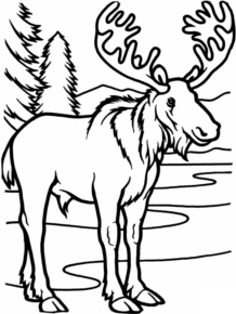 Disegno di alce da stampare e colorare 7
