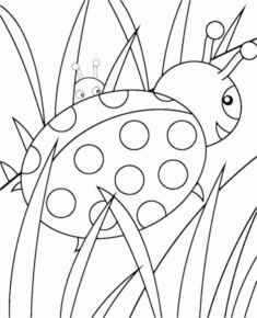 Disegno di coccinella da stampare e colorare 10