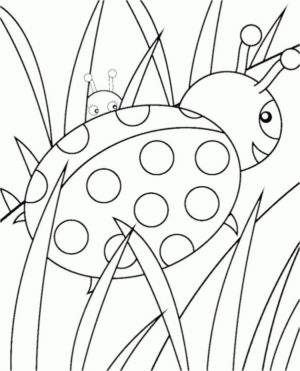 Disegno di coccinella da stampare e colorare 10