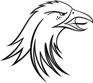 Disegno di falco da stampare e colorare 18