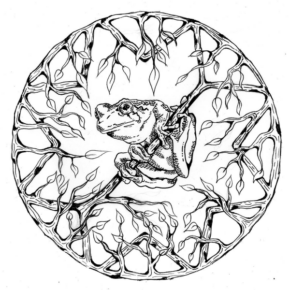 Disegno di rana da stampare e colorare 4
