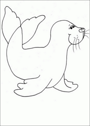 Disegno di foca da stampare e colorare 32