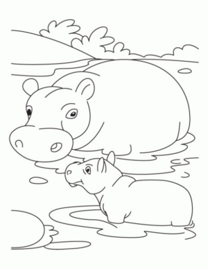 Disegno di ippopotamo da stampare e colorare 27