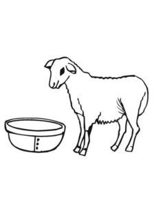 Disegno di pecora da stampare e colorare 11
