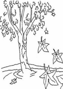 Disegno di albero da stampare e colorare 43