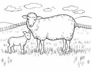 Disegno di pecora da stampare e colorare 25
