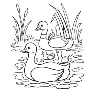 Disegno di papera da stampare e colorare 27