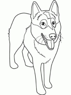 Disegno di lupo da stampare e colorare 70