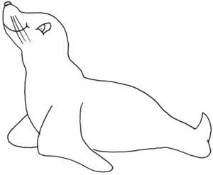 Disegno di foca da stampare e colorare 24