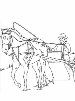 Disegno di cavallo da stampare e colorare 243