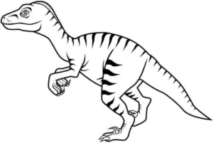 Disegno di Tirannosauro da stampare e colorare 14