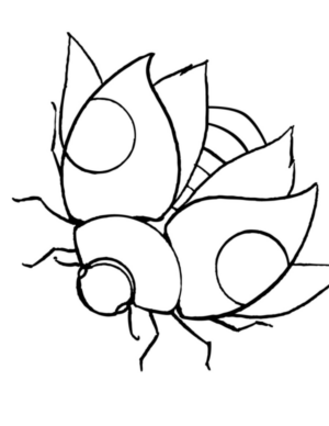 Disegno di coccinella da stampare e colorare 37