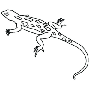 Disegno di lucertola da stampare e colorare 22