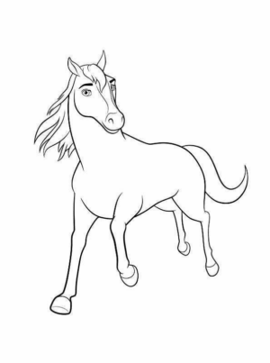 Disegno di cavallo da stampare e colorare 257
