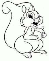 Disegni di Scoiattoli da colorare