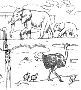 Disegno di elefante da stampare e colorare 1