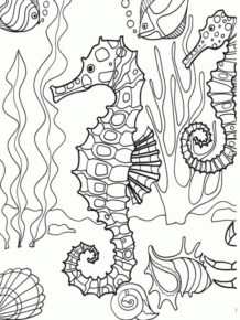 Disegno di cavalluccio marino da stampare e colorare 7
