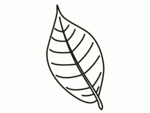 Disegno di foglia da stampare e colorare 29
