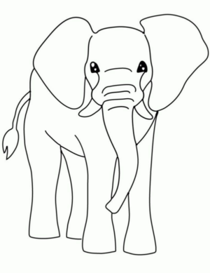 Disegno di elefante da stampare e colorare 31