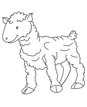 Disegno di pecora da stampare e colorare 67