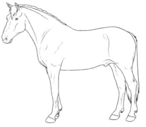 Disegno di cavallo da stampare e colorare 88
