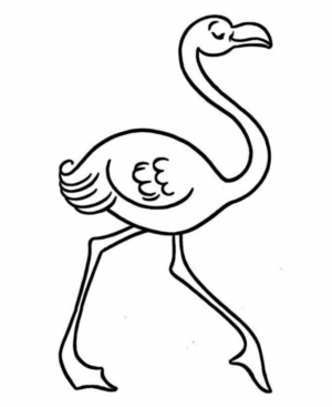 Disegno di fenicottero da stampare e colorare 6