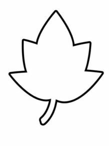 Disegno di foglia da stampare e colorare 42