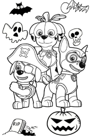 Disegno di Paw Patrol – Cane pompiere da stampare e colorare 11 Disegno di Paw Patrol – Cane pompiere da stampare e colorare 11