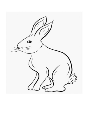 Disegno di coniglio da stampare e colorare 136