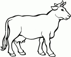 Disegno di mucca da stampare e colorare 116