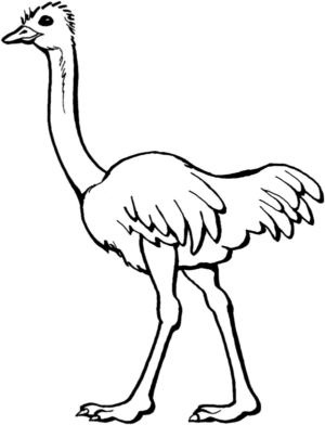 Disegno di struzzo da stampare e colorare 6
