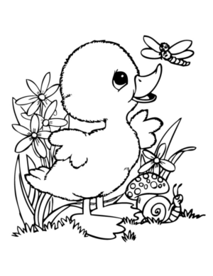 Disegno di papera da stampare e colorare 22