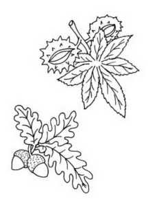 Disegno di foglia da stampare e colorare 104