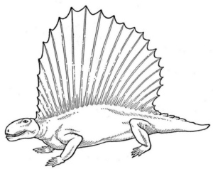 Disegno di Spinosauro da stampare e colorare 23