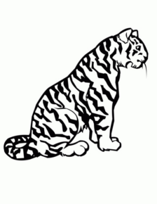 Disegno di tigre da stampare e colorare 26