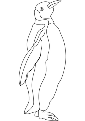 Disegno di pinguino da stampare e colorare 47