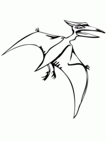 Disegno di Pterodattilo da stampare e colorare 11